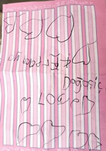 Çiçek Ailesinin Ekrem İmamoğlu’na Desteği, Dayanışma Sandığına Oy Olarak Atıldı