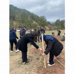 Kaymakam Tunalı Öğrencilerle Omuz Omuza Verip Ağaç Dikti