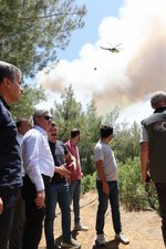 Taraklı’da Orman Yangını :Sakarya Valisi Rahmi Doğan, Yangın Bölgesinde Çalışmaları Yerinde Koordine Ediyor