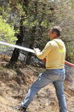 Taraklı’da Orman Yangını :Sakarya Valisi Rahmi Doğan, Yangın Bölgesinde Çalışmaları Yerinde Koordine Ediyor