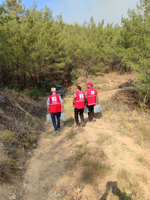Taraklı Hacıyakup Mevkiinde Çıkan Orman Yangınına Kızılay'dan Destek
