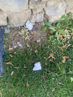 Lütfen hem doğayı, hem tarihimizi çöpe atmayalım.