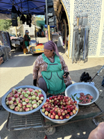 Senin Aşkın Beni Düşürdü Yola- Türkistan Notları-3