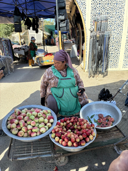 Senin Aşkın Beni Düşürdü Yola- Türkistan Notları-3