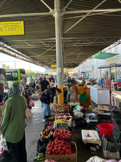 Senin Aşkın Beni Düşürdü Yola- Türkistan Notları-3