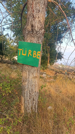 Türbeler İlgi Bekliyor