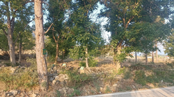 Türbeler İlgi Bekliyor