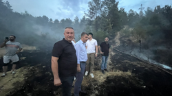 Yangın Ormana Sıçradı