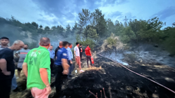 Yangın Ormana Sıçradı