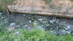 Kötü koku mahalleliyi bıktırdı!