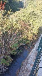 Kötü koku mahalleliyi bıktırdı!