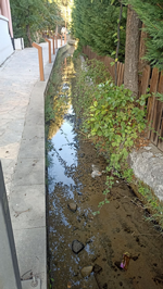 Kötü koku mahalleliyi bıktırdı!