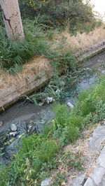 Kötü koku mahalleliyi bıktırdı!