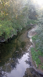 Kötü koku mahalleliyi bıktırdı!