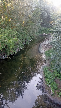 Kötü koku mahalleliyi bıktırdı!