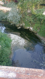 Kötü koku mahalleliyi bıktırdı!