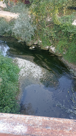 Kötü koku mahalleliyi bıktırdı!