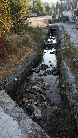 Kötü koku mahalleliyi bıktırdı!