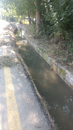 NİHAYET Temizleniyor