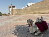 Siyaha Büründüğümüz Şehir: Buhara (Türkistan Notları-8)