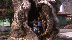 Taraklı'nın 7 Asırlık Mirası Modern Bir Sosyal Alanla Taçlanıyor