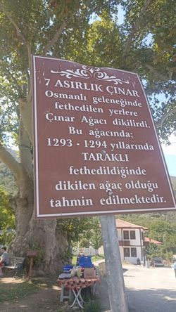 Bu Yazı, Tarihi Çınarın Gölgesinde Yazıldı.