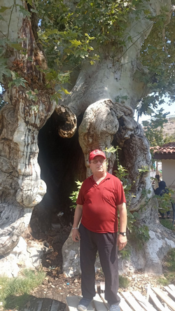 Bu Yazı, Tarihi Çınarın Gölgesinde Yazıldı.