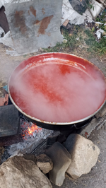 Taraklı’da Salça Kazanları Kaynıyor