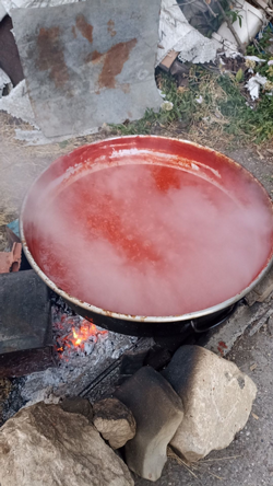 Taraklı’da Salça Kazanları Kaynıyor