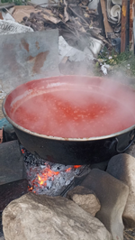 Taraklı’da Salça Kazanları Kaynıyor