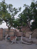 Nasreddin Hoca Buhara'da (Türkistan Notları -11)