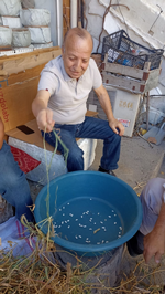 Taraklı Çarşısı’nda Fasulye Keyfi