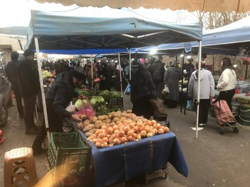 Taraklı Halk Pazarı’nda Soğuk Hava Etkisi: