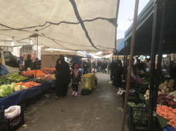 Taraklı Halk Pazarı’nda Soğuk Hava Etkisi: