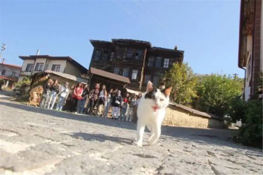 Akyazı’nın Genç Sağlıkçıları Taraklı’yı Keşfetti