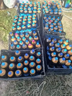 HACIYAKUP PAŞALAR’DA PEKMEZ KAYNATMA MESAİSİ