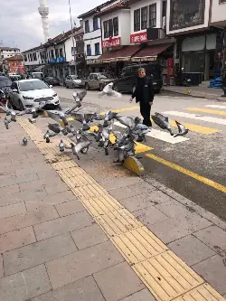Taraklı'nın Güvercin Dostu İzzettin Kömürcü