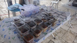 Taraklı'da Ramazan Kermesi Düzenlendi