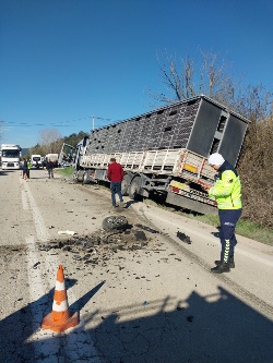 Taraklı'da Trafik Kazası Can Aldı
