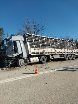 Taraklı'da Trafik Kazası Can Aldı