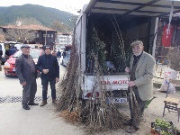 Pazarda Fidan Satışları Başladı