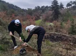 Taraklı'da Fidan Dikim Etkinliği