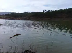 Kayaboğazı Göleti Yeniden Canlandı