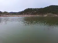 Kayaboğazı Göleti Yeniden Canlandı