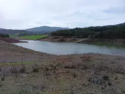 Kayaboğazı Göleti Yeniden Canlandı