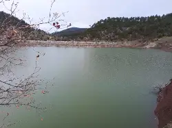 Kayaboğazı Göleti Yeniden Canlandı