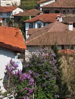 Taraklı Huzurun Başkenti Oldu