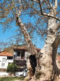 Taraklı Huzurun Başkenti Oldu