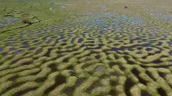 Karagöl Yaylası'nda Doğa Şöleni