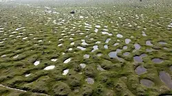 Karagöl Yaylası'nda Doğa Şöleni